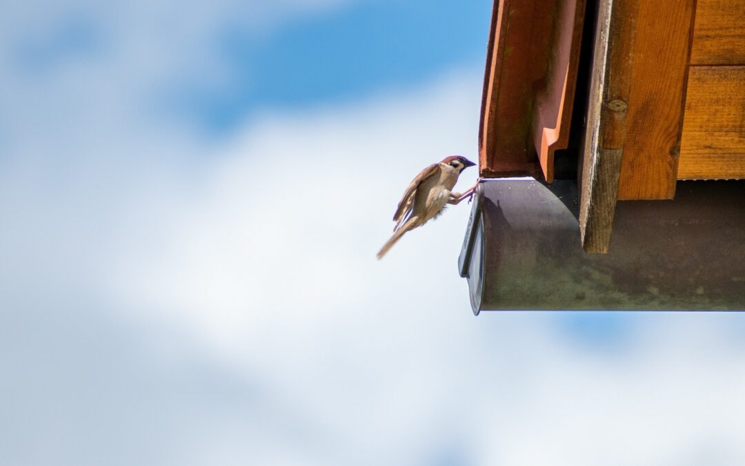Gutter Cleaning Litchfield CT