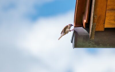 Gutter Cleaning Litchfield CT
